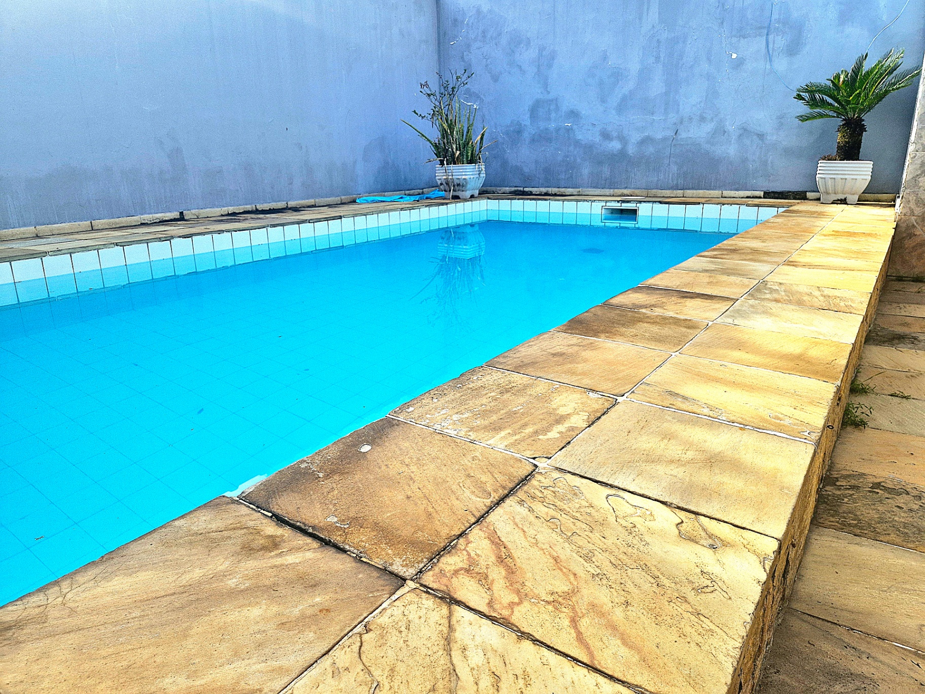 Piscina em detalhe